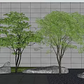 Lush Green Trees with Stones Against Gray Wall Outdoor Area