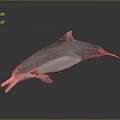 Spotting Dolphin Cartoon Dolphin Animation Dolphin Animation Dolphin Animation Character Game Character 3d model