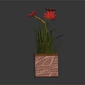 Potted Plant With Red Flowers Green Leaves In Pink Square Textured Pot