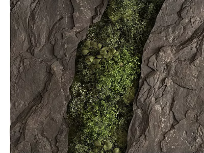 Lush Green Plant Wall With Vibrant Foliage Growing Between Gray Rock Structures 3d model