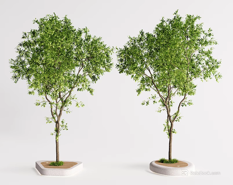 Outdoor Tree Planter with Two Green Trees Soil and Concrete Base for Landscape Design 3d model 