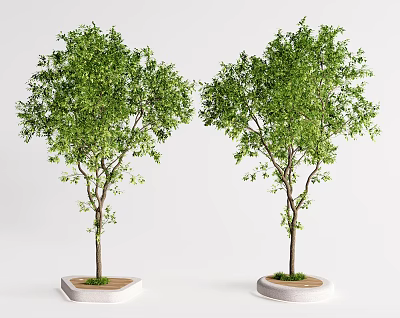 Outdoor Tree Planter with Two Green Trees Soil and Concrete Base for Landscape Design 3d model