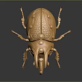 Golden Beetle Shaped Decorative Home Decor Item With Intricate Design And Metallic Finish
