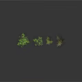 Four Different Green Plants With Various Leaf Shapes And Heights On Dark Background With Reflections