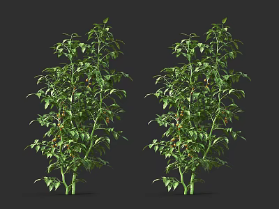Two Green Leafy Shrubs With Dense Foliage And Vibrant Healthy Growth 3d model