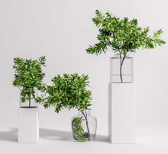 Modern vase green plant floral ornaments combination 3d model