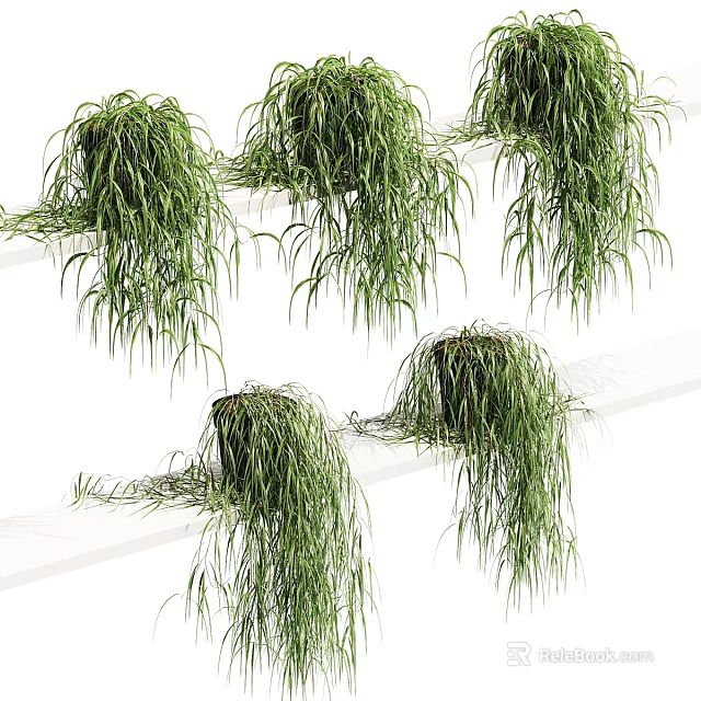 Hanging Green Garden Plants with Lush Foliage as Decor on White Shelves 3d model 