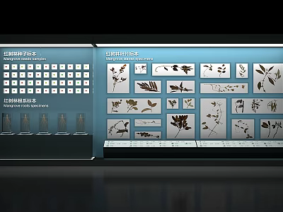 Display Shelves with Plant Specimens and Charts in Modern Exhibition Layout 3d model