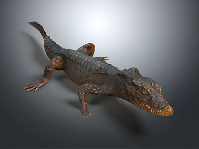 Realistic 3D Crocodile Model with Scaly Skin and Green Eyes on Gray Background 3d model