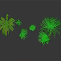 Various Tropical and Small Green Plants Including Palm and Banana Trees