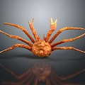 Orange Giant Crab With Long Legs And Textured Shell On Dark Reflective Surface