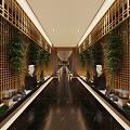 Modern Chinese Elevator Hallway With Wooden Lattice Green Plants White Lion Statues And Black Marble