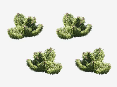 Lush Green Decorative Shrubs For Garden Landscape Design And Outdoor Decoration 3d model