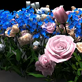 Colorful Floral Carpet with Blue Pink White Blooms Against Black Background for Decorative