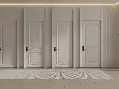 White Hinged Doors With Different Panel Designs In Modern Interior 3d model