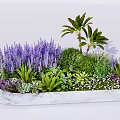 Marble Flower Planter With Purple Flowers Green Shrubs And Palm Leaves