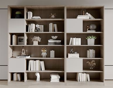 Modern Bookcase Bookshelf 3d model