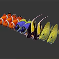 Colorful Tropical Fish Of Various Species With Vibrant Colors Arranged In A Row And Reflections