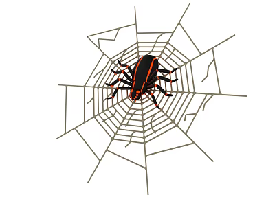 Spider Resting on Intricate Spider Web with Visible Thread Patterns and Detailed Design 3d model
