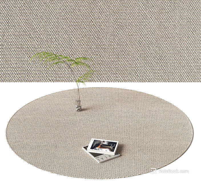 Round Area Rug with Small Green Plant and Stack of Open Magazines on Floor 3d model 