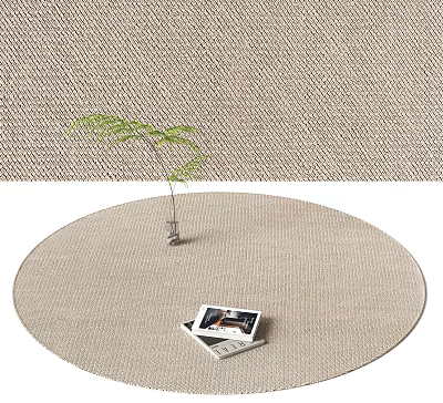 Round Area Rug with Small Green Plant and Stack of Open Magazines on Floor 3d model