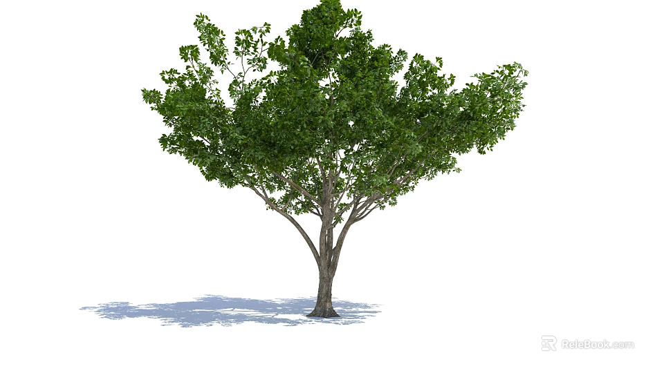 Arbor With Lush Green Foliage Strong Brown Trunk And Natural Shadow 3d model 