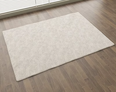 Light Gray Square Rug With Soft Texture On Wooden Floor Interior Natural Light Decor 3d model