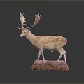 Spotted Deer Taxidermy With Large Antlers On Stone Base Against Dark Background