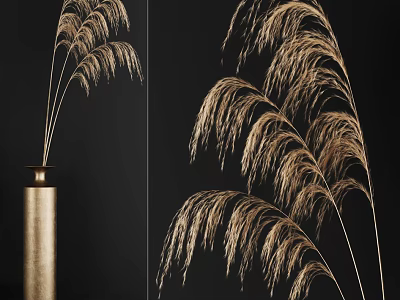 Elegant Gold Vase With Pampas Grass Flowers In Modern Black Decor Setting 3d model