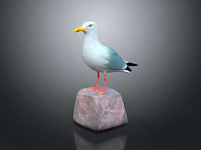 Lifelike Seagull Statue Perched On Gray Rock With Red Legs And Yellow Beak 3d model