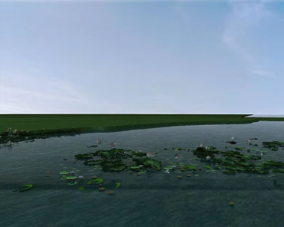 Tranquil Lake View With Green Aquatic Plants And Distant Green Grassland Under Light Blue Sky 3d model