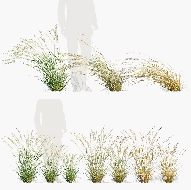 Ornamental Green And Golden Grasses For Garden Landscape Decoration 3d model 