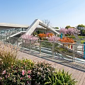 Urban Park Landscape with Colorful Trees Pink Flowers Curved Pathways and Tall Buildings