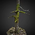 Natural Tree Trunk Covered With Green Moss And Small Branches With Fallen Leaves Base