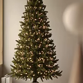 Tall Green Pine Tree Decorated With String Lights In Indoor Space 3d model