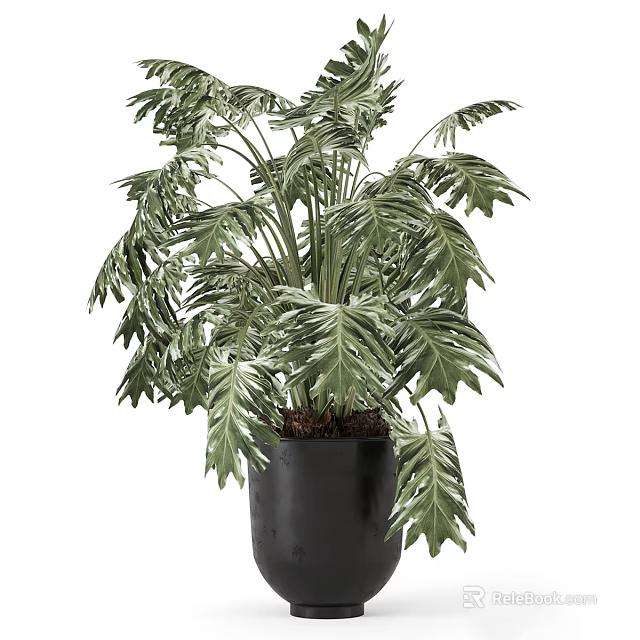 Decorative Tropical Plant With Green Leaves In Black Vase For Home Decor 3d model 