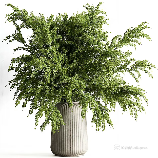 Lush Green Bonsai Plant In Vertical Striped Light Gray Pot With Cascading Foliage 3d model 