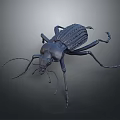 Black Beetle Metal Sculpture With Detailed Texture And Long Thin Legs Artwork