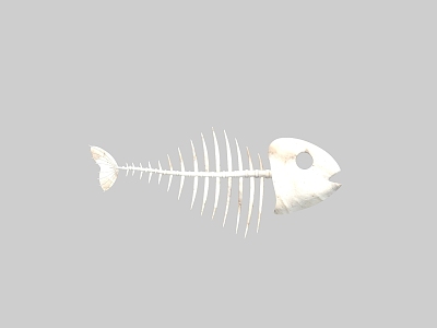 Fish bone Q version fish bone cartoon fish bone 3d model