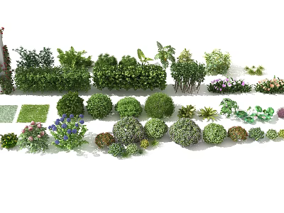 Various Types of Garden Shrubs Including Evergreen Hedge and Flowering Round Shapes 3d model