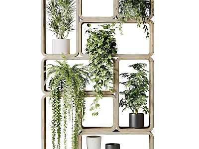 Indoor Multi tiered Wooden Frame Garden Decor With Hanging Plants And Various Green Potted Plants 3d model