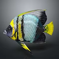 Vibrant Striped Fish With Yellow Tail Black Blue Patterns And Shiny Scales