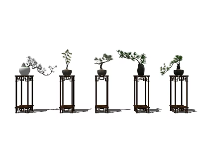 Traditional Bonsai Plants Displayed On Tall Wooden Stands With Various Species 3d model