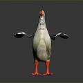 White and Gray Chicken With Orange Comb Outstretched Wings And Orange Feet On Gray Background