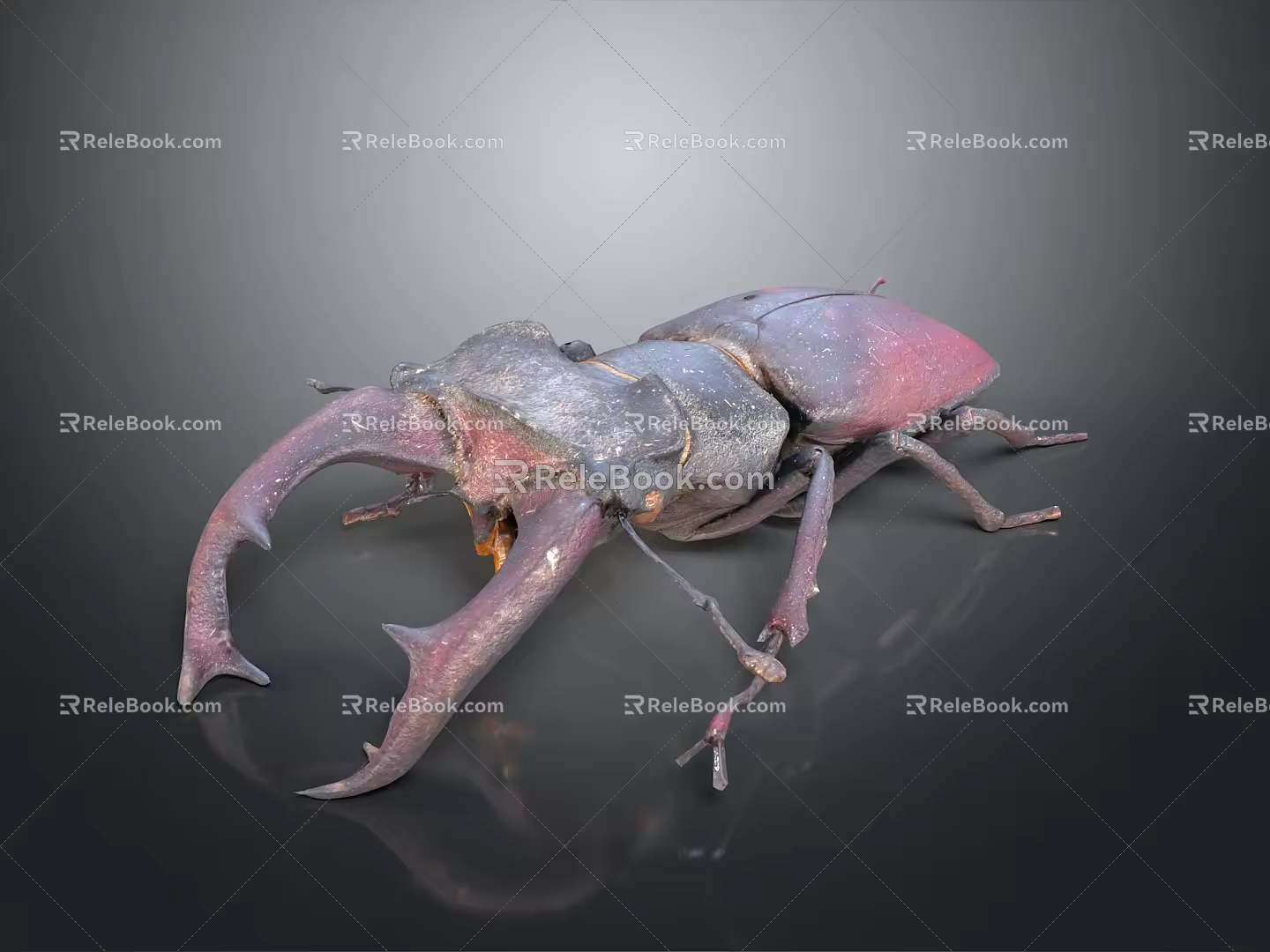 Modern beetle dung beetle chafer 3d model