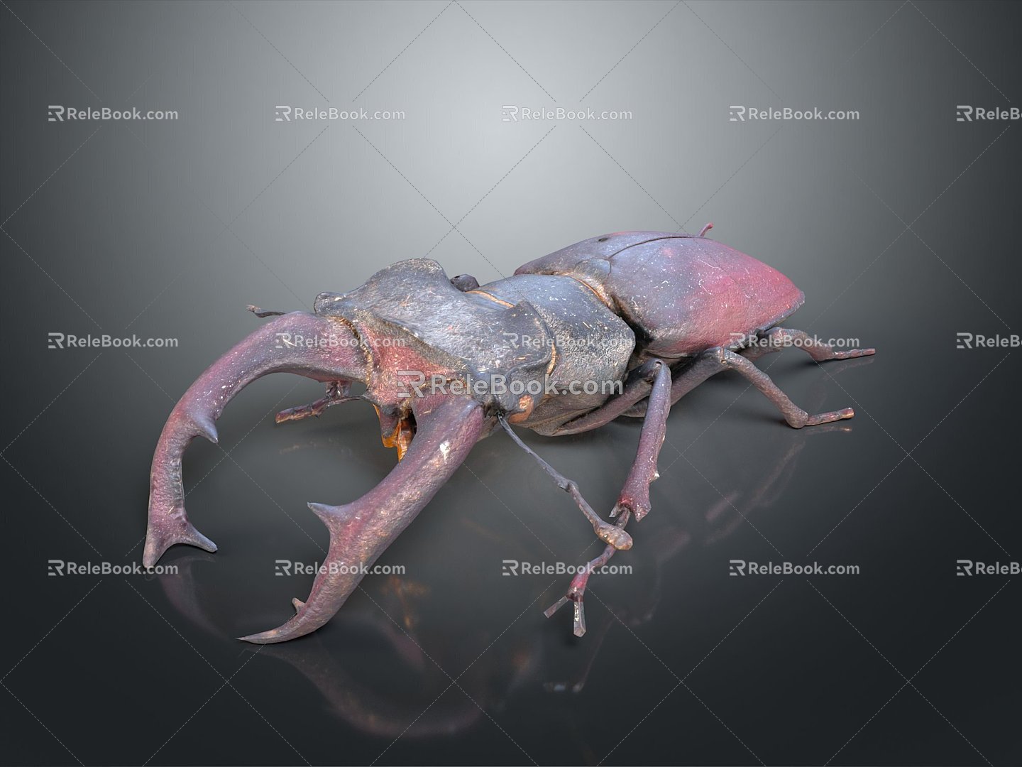 Modern beetle dung beetle beetle chafer 3d model