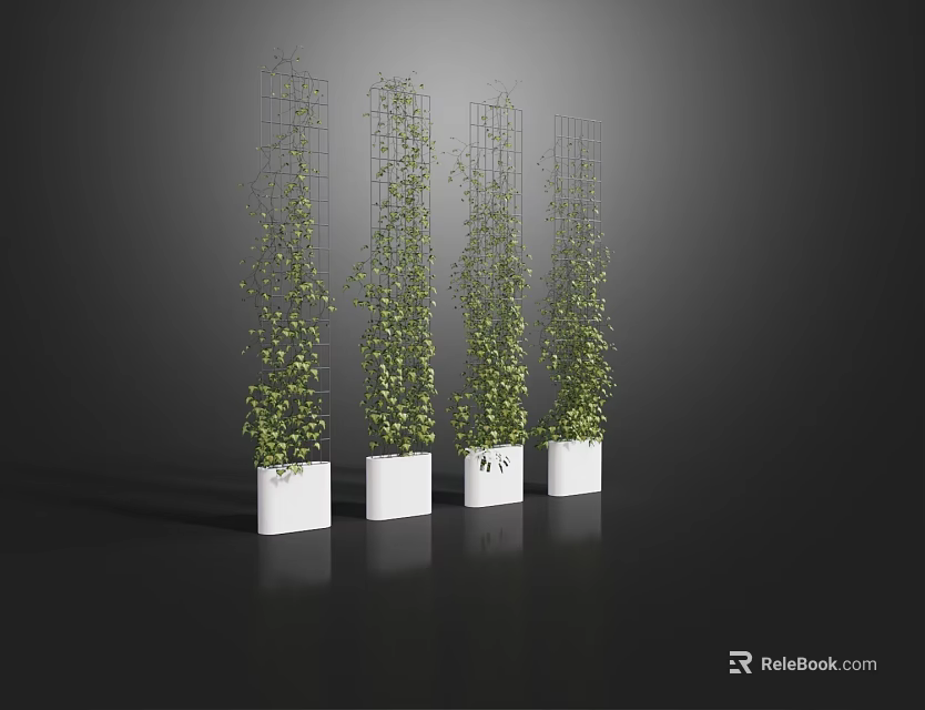 Vines Climbing On Metal Trellises In White Planters Against Dark Background 3d model 