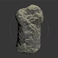 Gray Petrified Wood Stone with Natural Textured Surface on Black Background