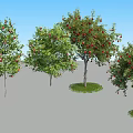 Different Arbor Trees With Green Foliage And Red Fruits Against Blue Sky