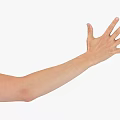 Human Hand Palm And Fingers With Clear Skin Texture On White Background